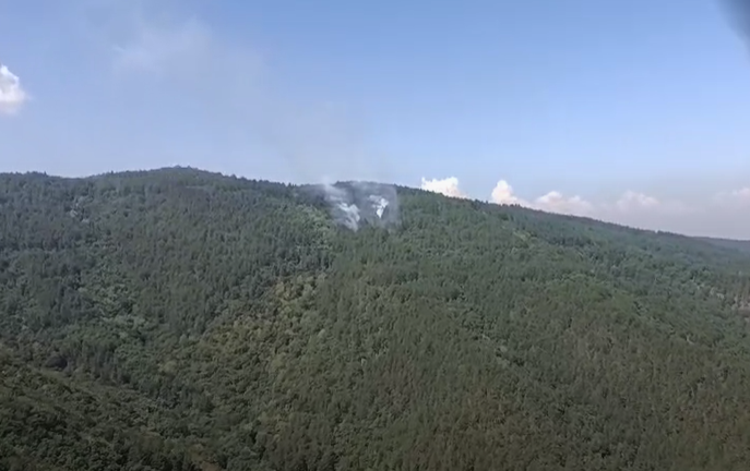 Локализиран е пожарът край връх Баба над Асеновград