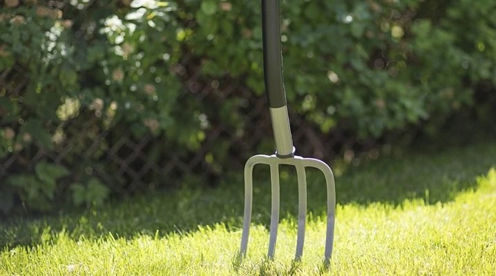 Каруцар преби с вила съселянин в Дивия Северозапад