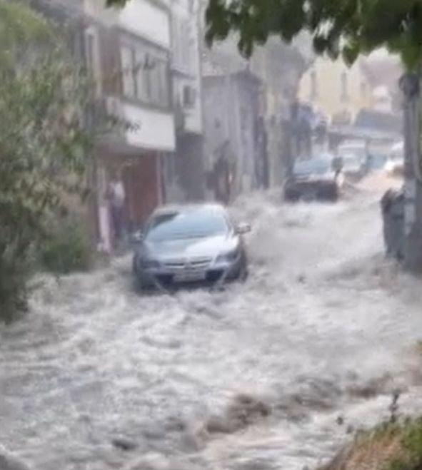 Порой удави Горна Оряховица