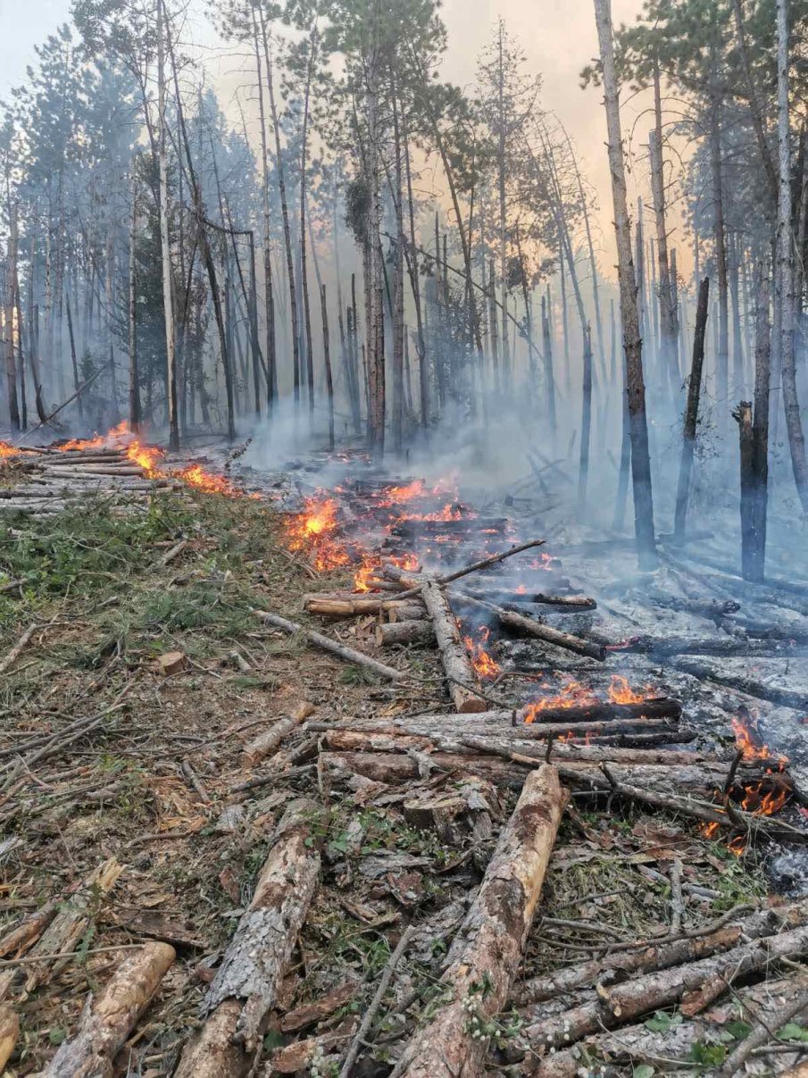 СТИХИЯ: Шест декара гора изгоря край Аксаково