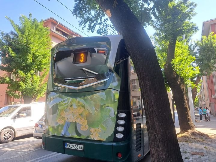 Електробус се блъсна в дърво