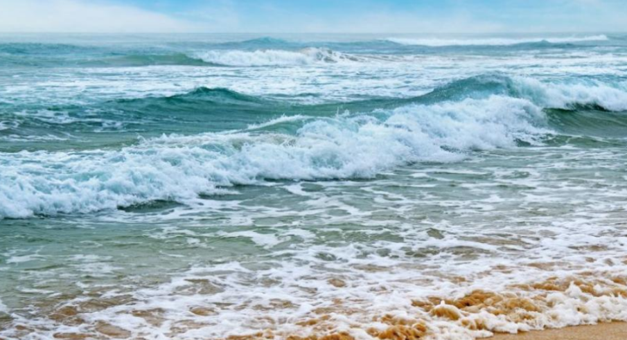 Микробиолог: Пробите на водата на Попския плаж показаха, че има еширихия коли