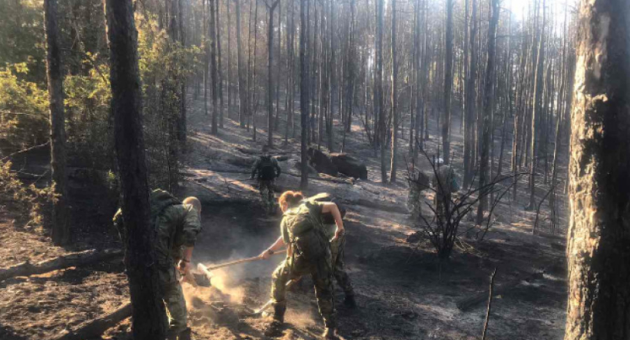 Окончателно ликвидираха горския пожар край Хисаря