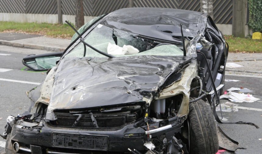 САКАТЛЪК: Безнадзорни телета потрошиха кола край Лом