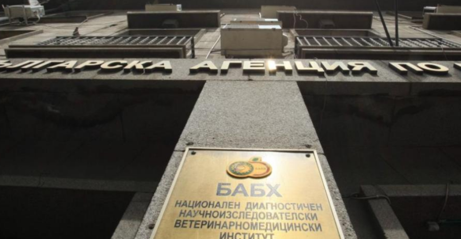 Опасна шарка: Акция на полицията срещу нелегалните превоз и продажба на животни