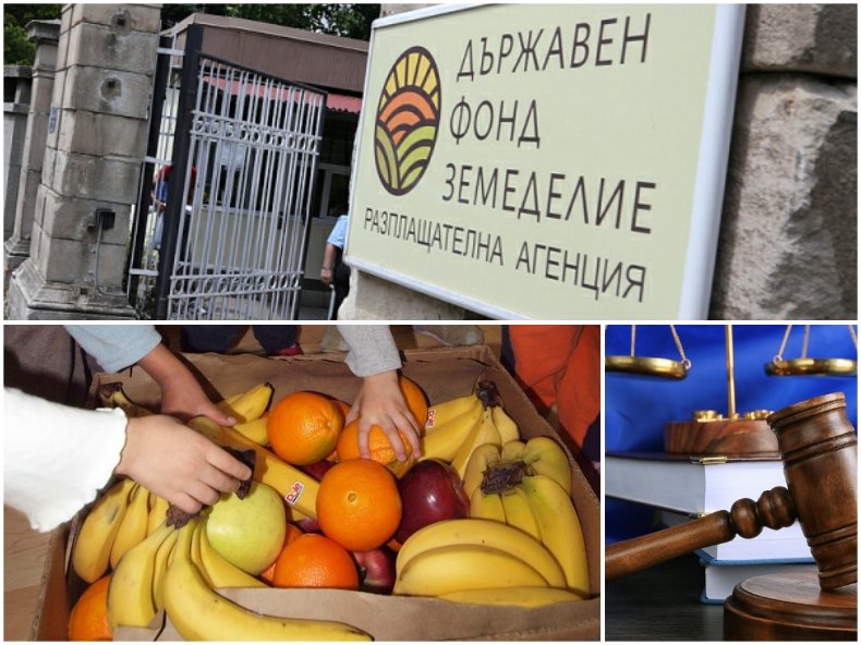 Фирма осъди фонд „Земеделие“ за 766 000 лв. по програмата за училищен плод 
