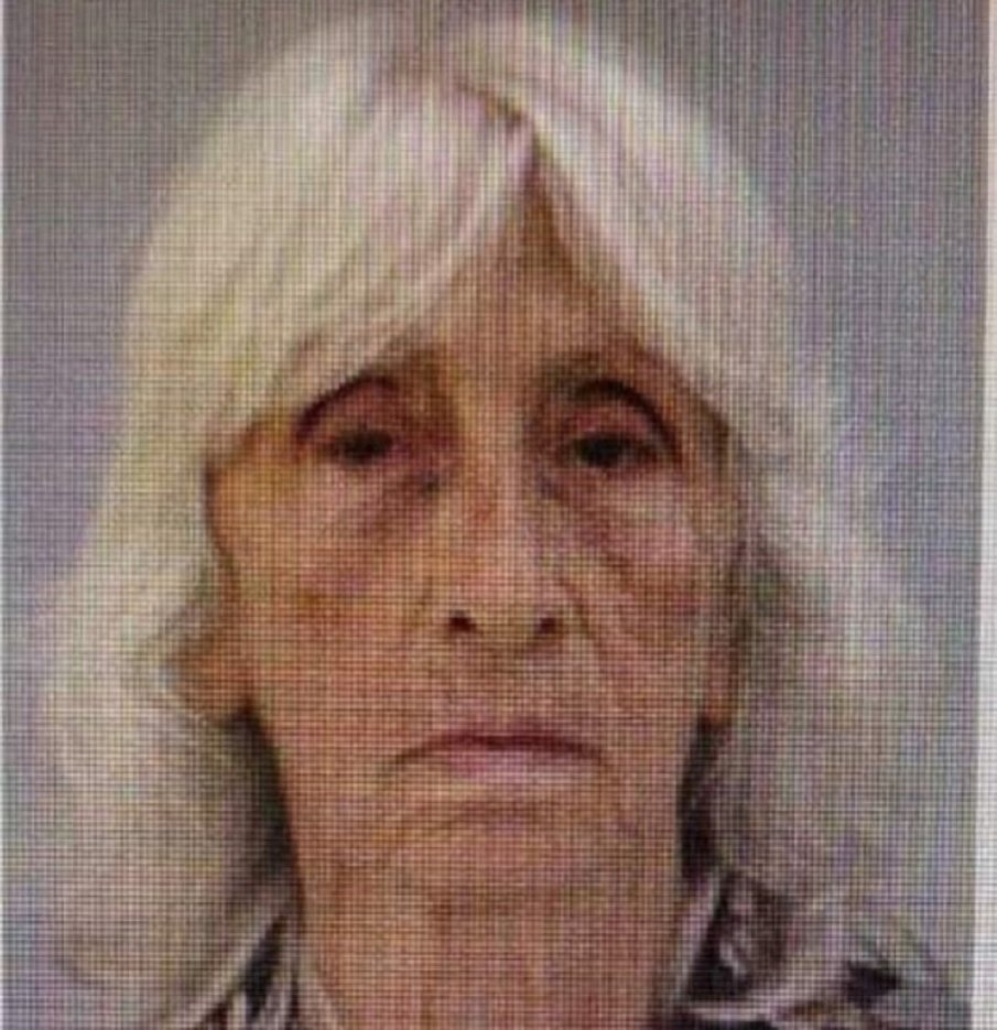 ДОБРА РАЗВРЪЗКА: Намериха изчезналата край Чепеларе баба Пенка, в тежко състояние е