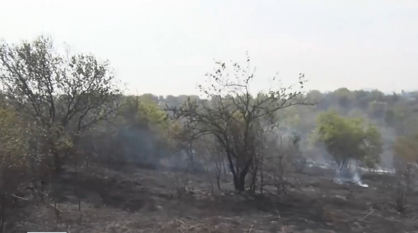 Шест екипа огнеборци гасят голям пожар в парк Кенана