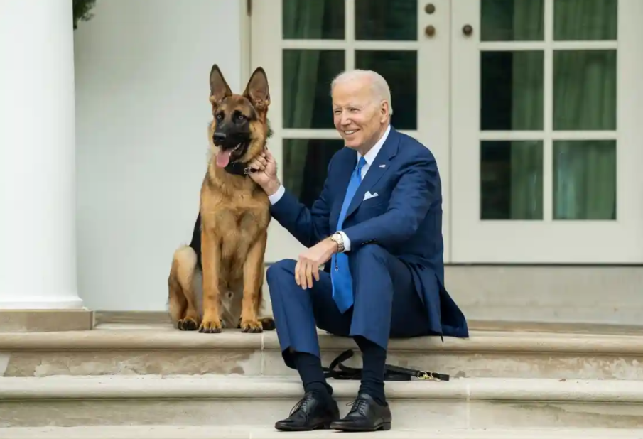 Кучето на Байдън изселено от Белия дом