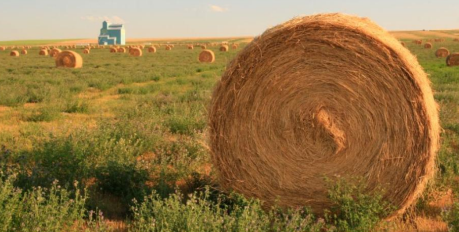 Мъж запали около 300 бали и сряза гумите на товарен автомобил край Врачанските лозя