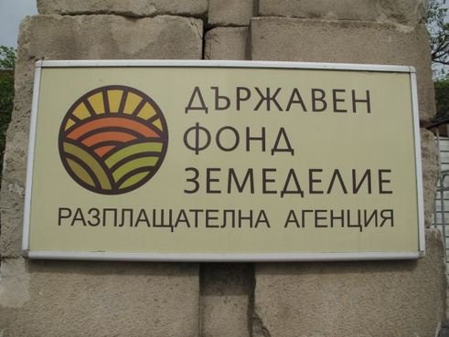 МЗ: Земеделците в засегнатите от пожарите райони, където е обявено бедствено положение, да подадат заявление в ДФЗ