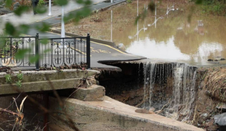 Агенцията по горите настоява учени да променят позицията си по бедствието в Царево