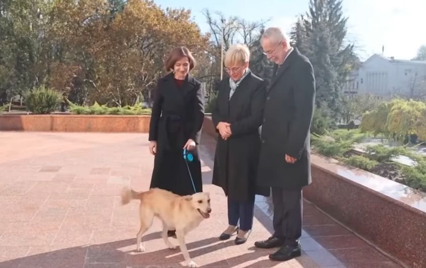 КУРИОЗ! Кучето на молдовския президент ухапа австрийския държавен глава (ВИДЕО)