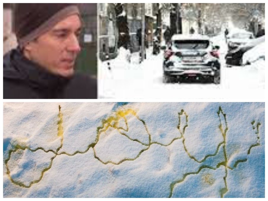 Не гласувайте за идиоти, но като начало - не яжте жълт сняг