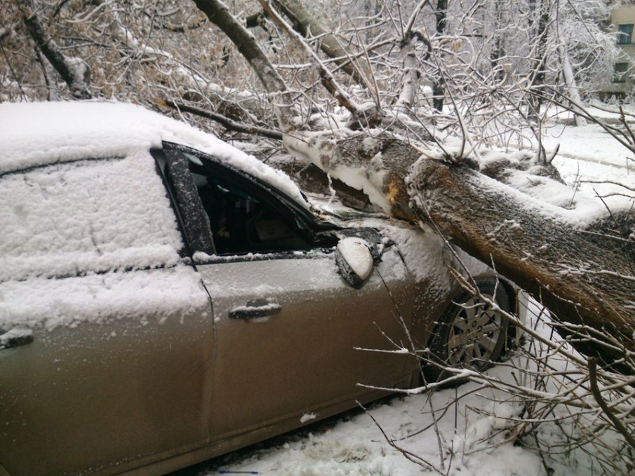 ИНЦИДЕНТ В БАНСКО: Дърво падна върху кола на пътя към ски зоната, има пострадал