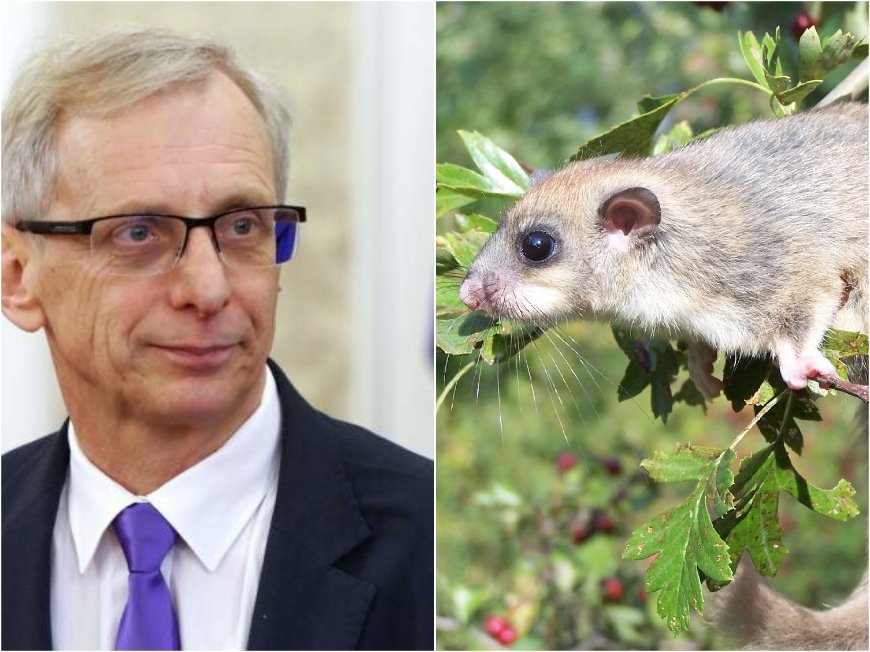 МРЕЖАТА ГЪРМИ след скандалното изказване на Денков: Оставка! Пускайте го тоя съсел рано сутрин, защото действа като разхлабително (СНИМКИ)