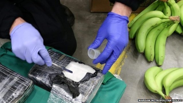 Откриха кокаин в банани на пристанище в Нидерландия за 90 млн. евро