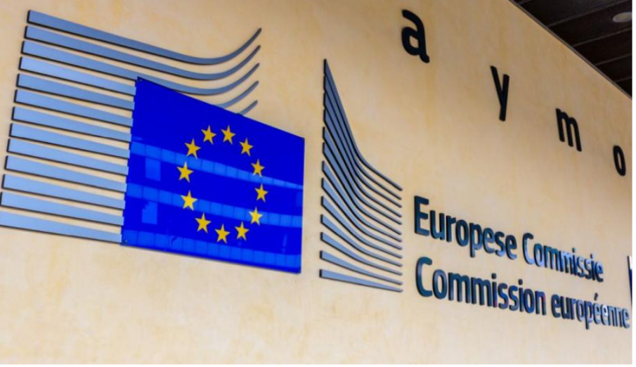 Евродепутати питат ЕК за отпадане на контрола на пристанищата по Дунав