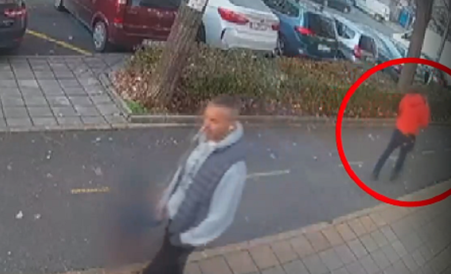 ЖЕСТОКОСТ: Мъж уби с ритници бездомна котка в Бургас