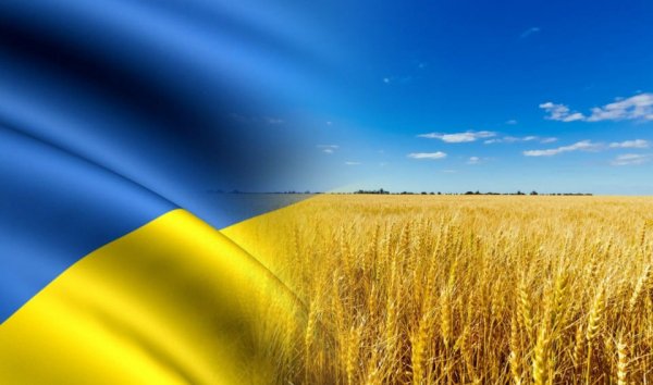 Европейски земеделски организации искат мерки срещу неограничения внос от Украйна