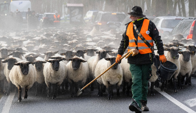 Фермери от цяла Германия се събират на протест в Берлин