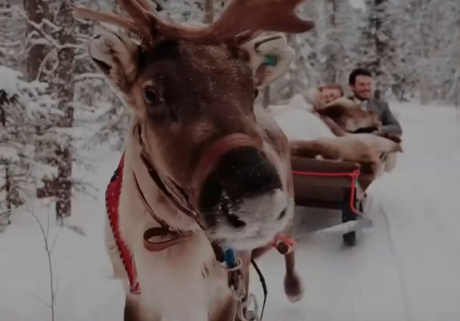 Бум на сватбите и предложенията за брак в Лапландия