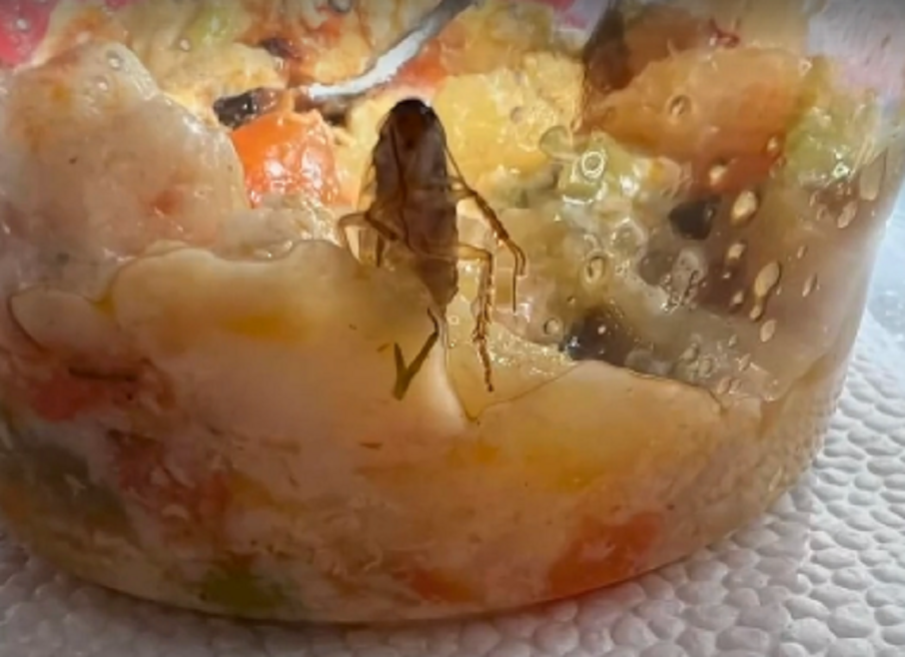 ГАДОСТ: Майка откри хлебарка в храна от детска кухня