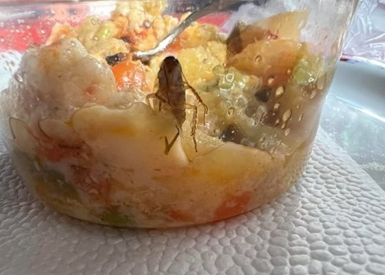 Затвориха детска кухня в Монтана заради случая с хлебарка в храната