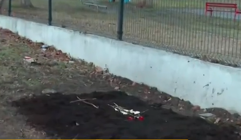 Гроб на домашен любимец шокира ученици край детска градина