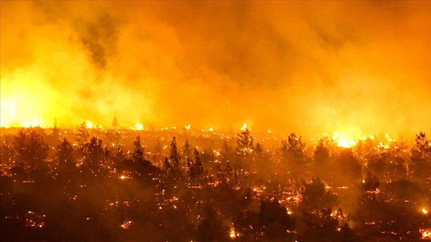 Голям горски пожар бушува в землището на Сатовча