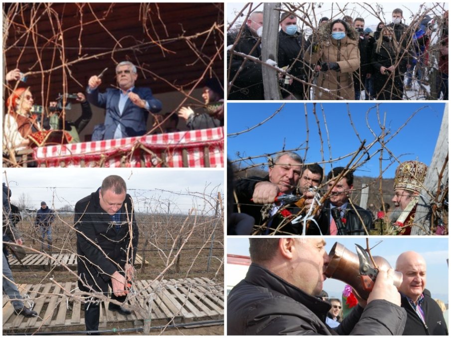 ПОРЕДНА ИЗЛАГАЦИЯ НА СГЛОБКАТА: За първи път земеделски министър загърбва лозаро-винарския сектор, отиде да зарязва лоза на манастирски чардак....Сигурно се моли за ротацията