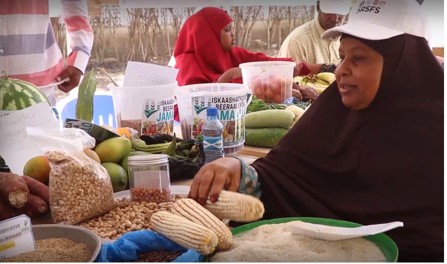Недостиг на храна в Сомалия: Климатичните промени влияят върху земеделието