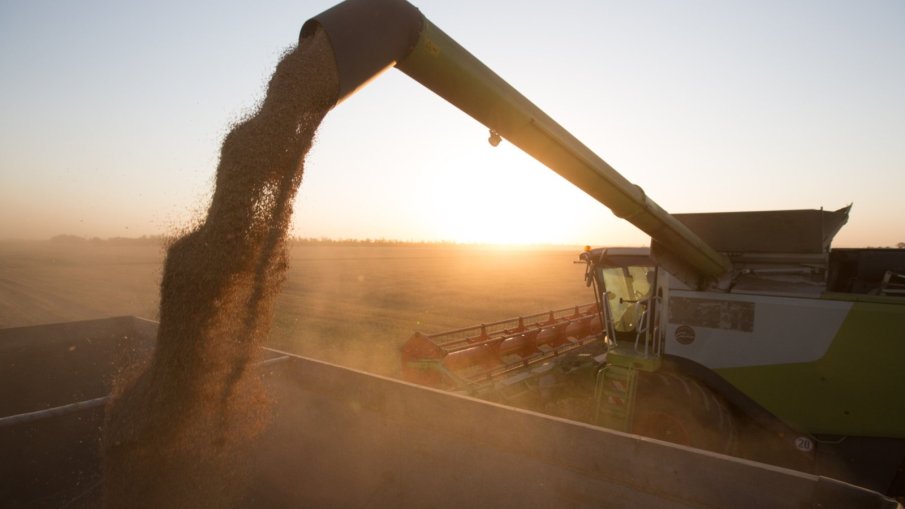 ПОДАДЕНА РЪКА: Русия дари 50 000 тона зърно на Централноафриканската република