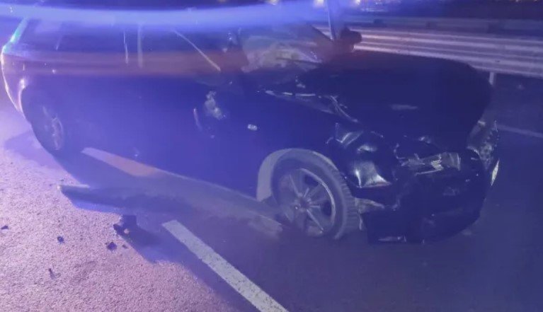 Катастрофа с бивол помля кола на Околовръстното в София: Чие е животното?