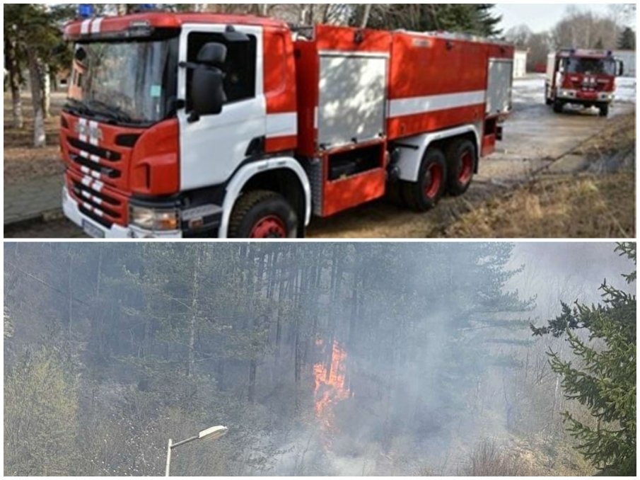 СИГНАЛ ДО ПИК: Голям пожар край Троян - запали се борова гора, вятърът разнася пламъците (СНИМКИ)