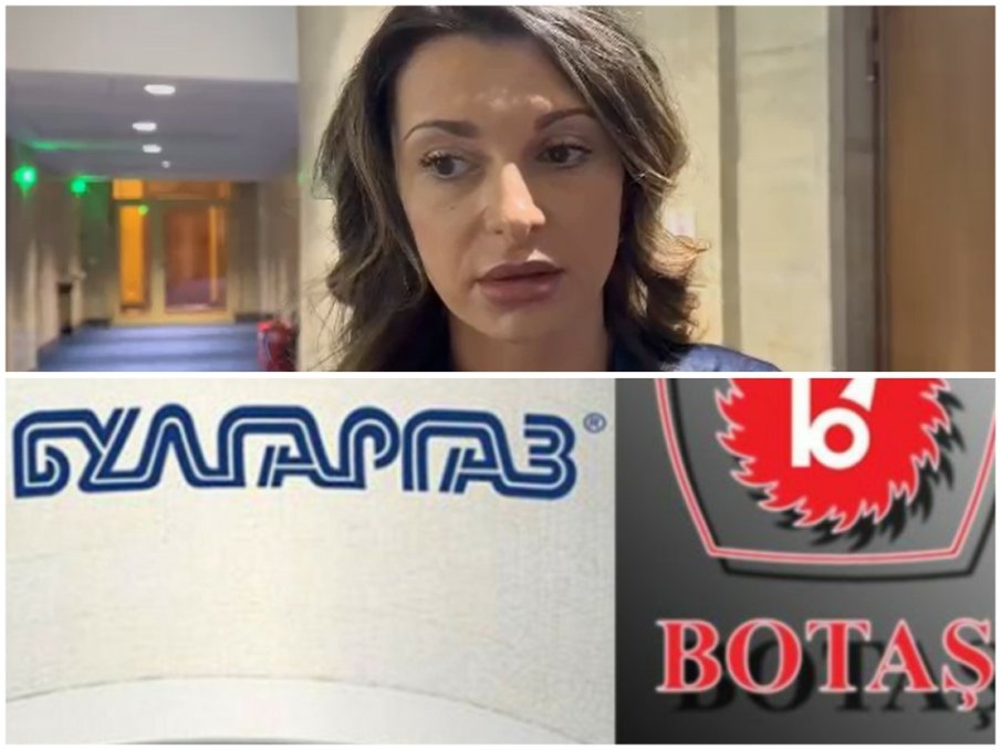 Павела Митова пред ПИК TV: Има основания докладът за Боташ да бъде изпратен на прокуратурата (ВИДЕО)