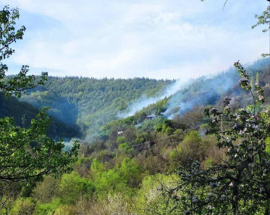 Пожар в Осогово, горят 100 дка гори