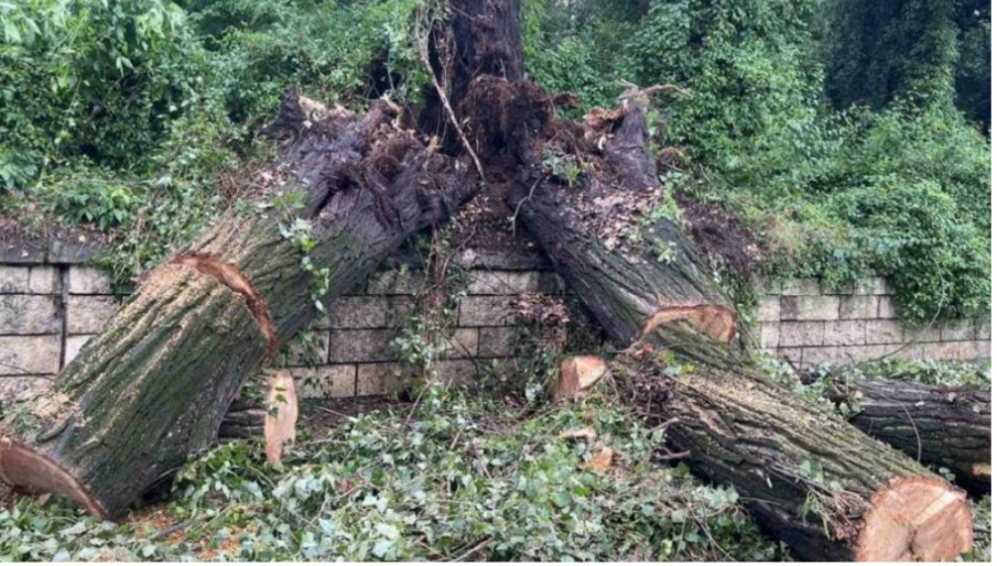 Бурята в Ловешко отнесе покриви на къщи, стотици домакинстува са без ток