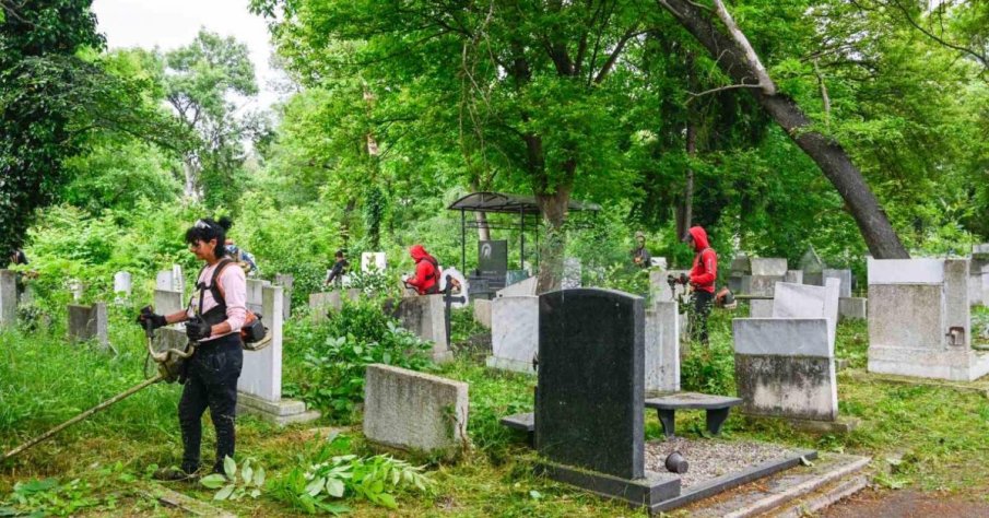 Чистят гробищата в София за Черешова задушница