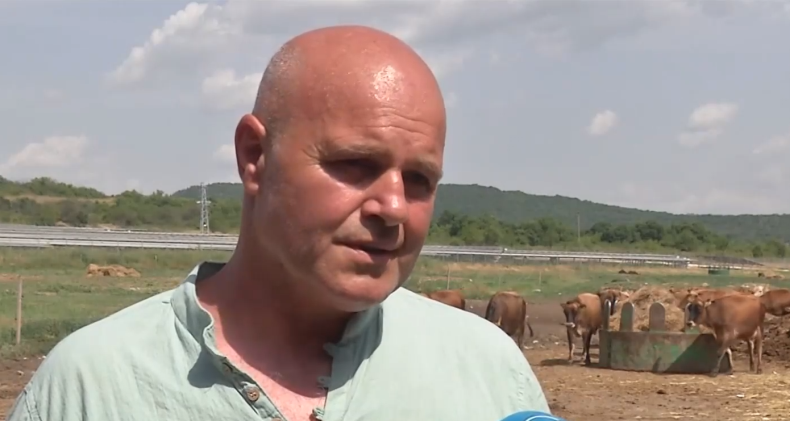 Фермери страдат от нелоялна конкуренция с имитиращи млечни продукти