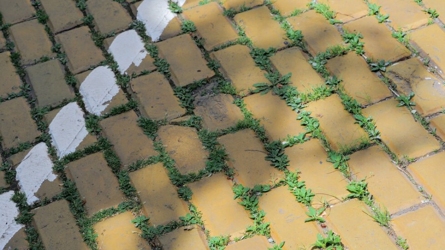 Жълтите павета станаха... зелени