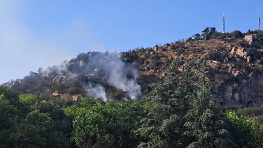 Пожар се разгоря на най-високото тепе в Пловдив