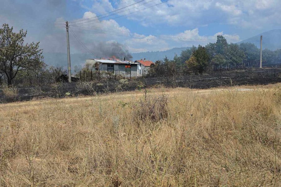 НЯМА КРАЙ! Пламна вилната зона на Отец Паисиево, горят къщи, евакуират хората