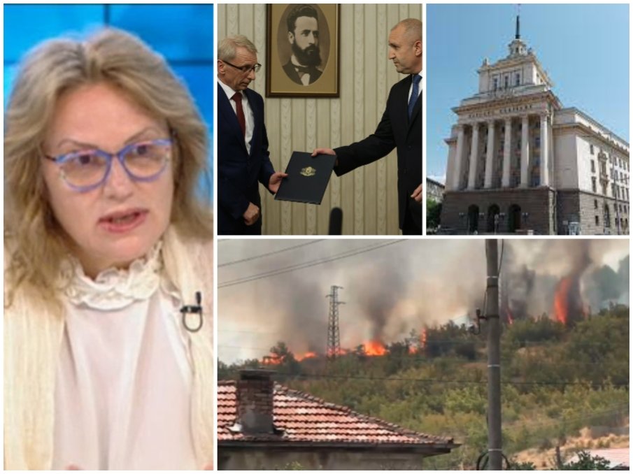 ДИАГНОЗА: Любимият психиатър на Радев за политиците: Мизерници, държат се като психопати