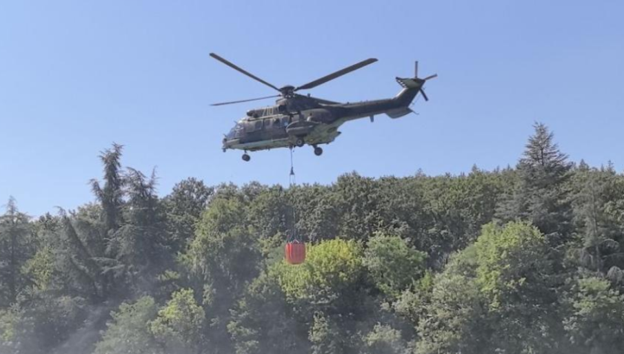 ОПАСНО! Пожарът от Гърция настъпва към България - само на 50-100 метра от нашата територия е