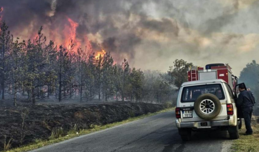 Впрягат бригади от безработни за справяне с щетите от пожарите