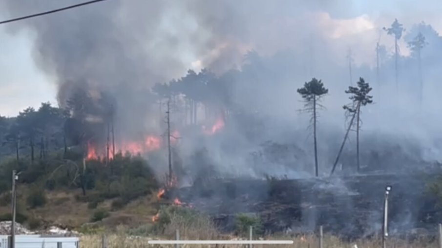 Пожар пламна в Стара Загора близо до Дом за деца