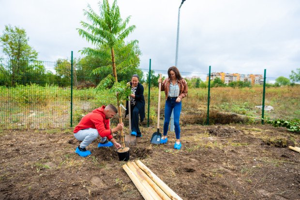 Олимпийски медалисти засадиха дръвчета около спортна зала