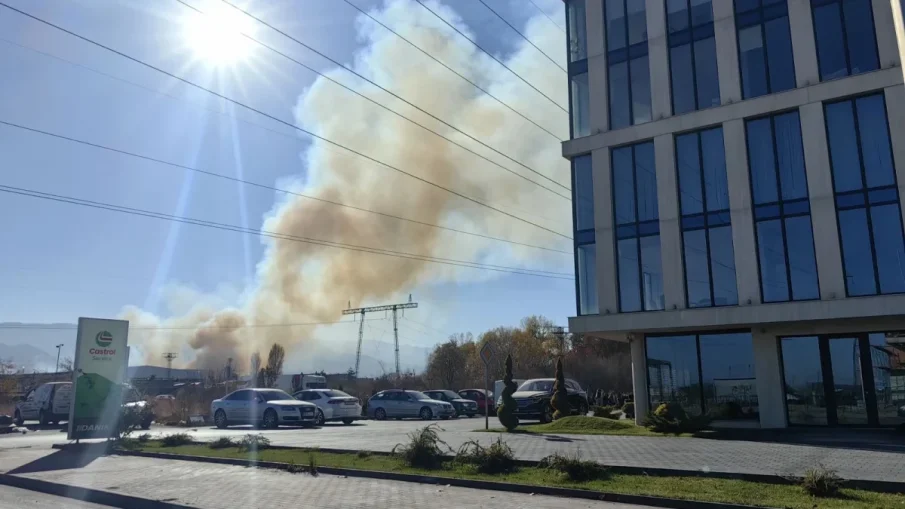 Потушиха големия пожар в Пловдив, спасиха складове и животни от изпепеляване