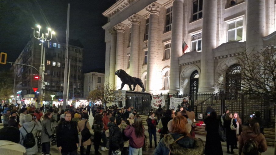 Протест в София в подкрепа за момичетата и жените, станали жертви на насилие